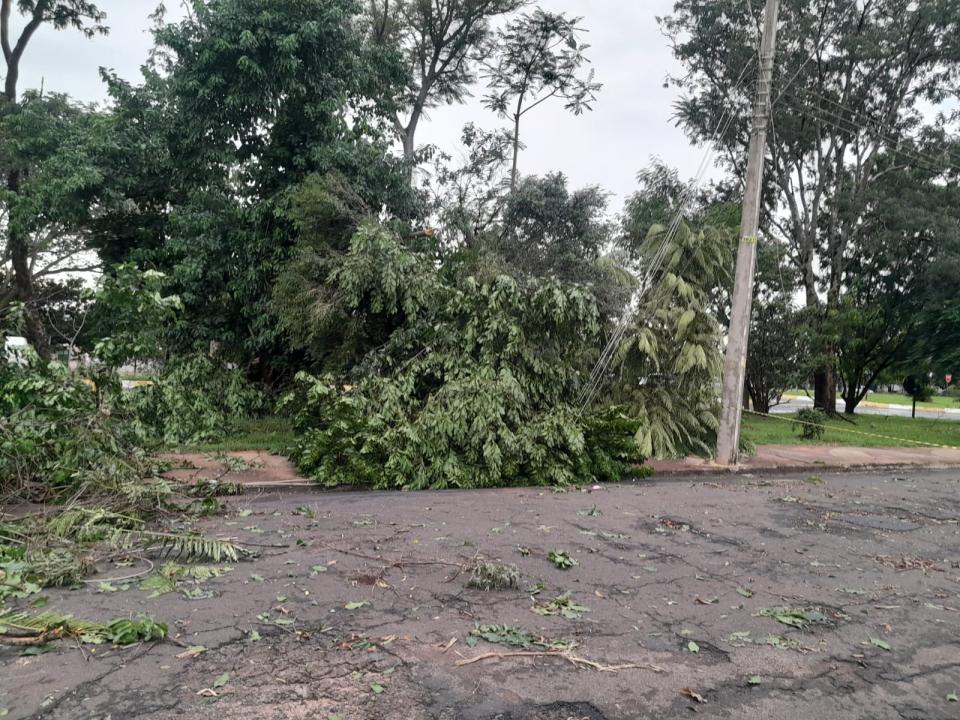 Foto 11 de 40 — Veja fotos do cenário em Boa Esperança do Sul após forte temporal
